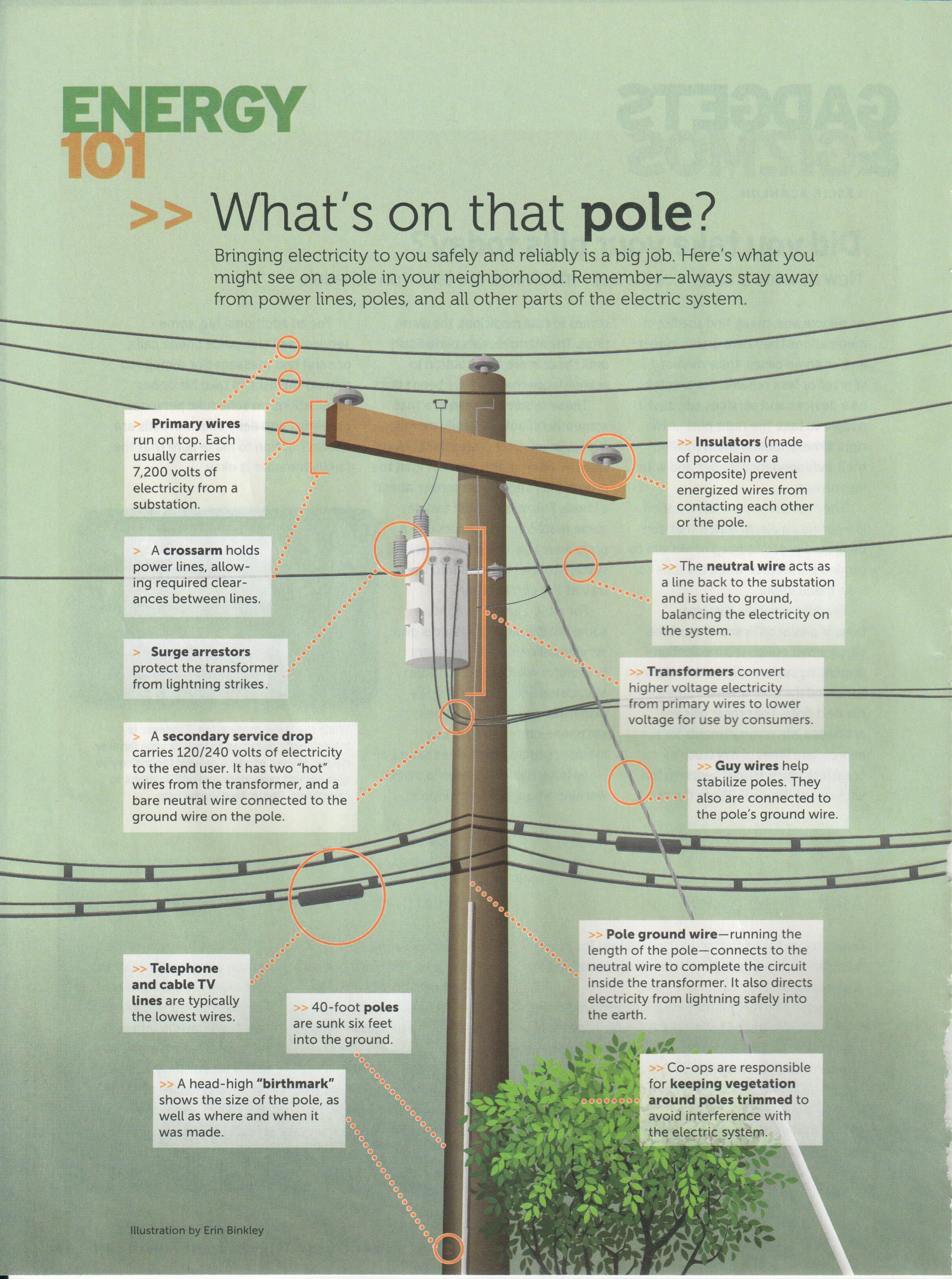 Infographic about what is on a utility pole